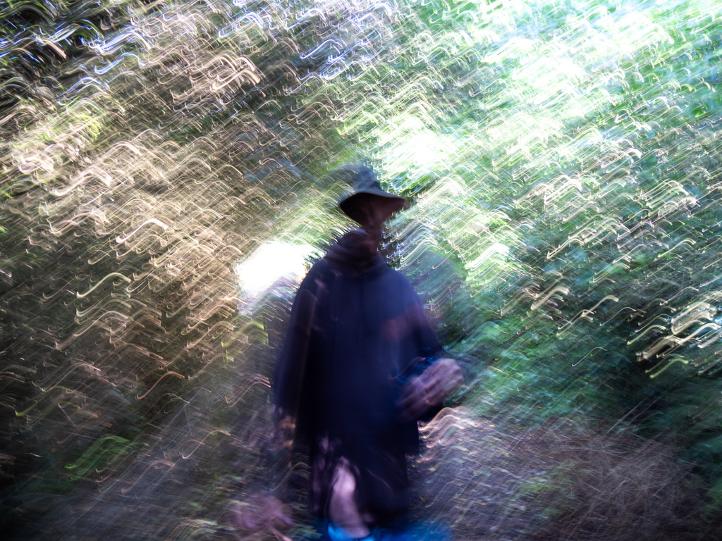 A figure in the woods as sunlight filters through the trees